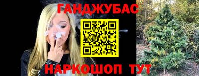 стаф Севастополь