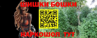 стаф Севастополь