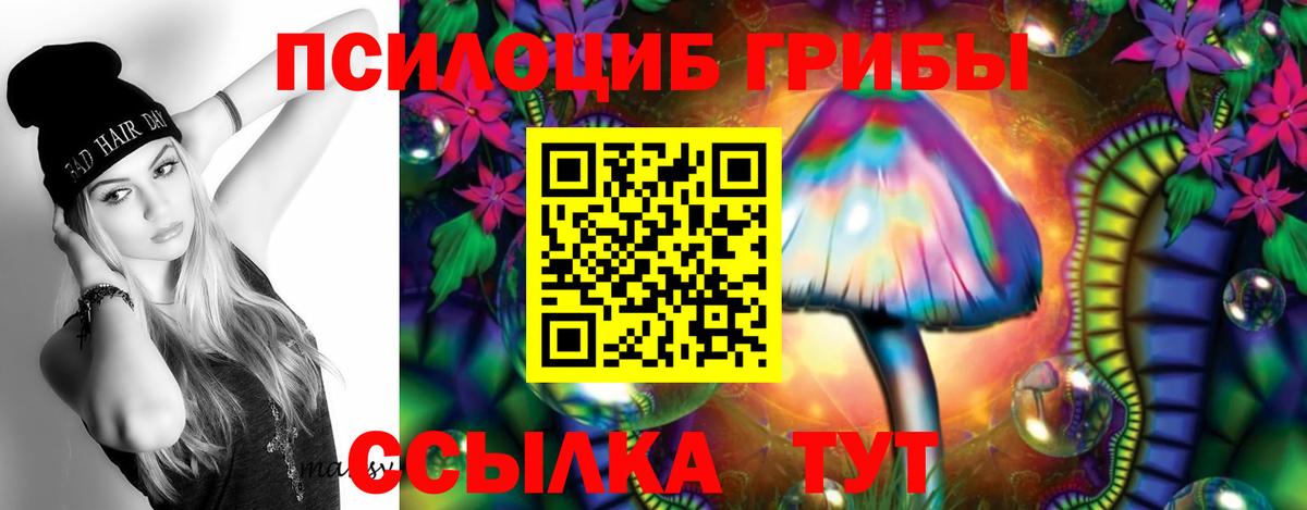 Галлюциногенные грибы Cubensis  Вход с VPN  Сердобск  Псилоцибиновые грибы Cubensis 