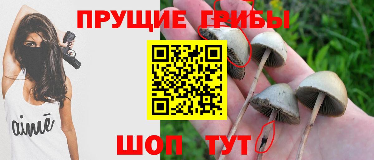 Галлюциногенные грибы Cubensis Сердобск